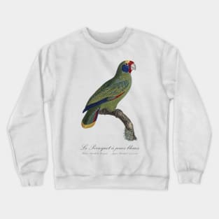 Red-Tailed Amazon Parrot / Le Perroquet a Joues Bleues - 19th century Jacques Barraband Illustration Crewneck Sweatshirt